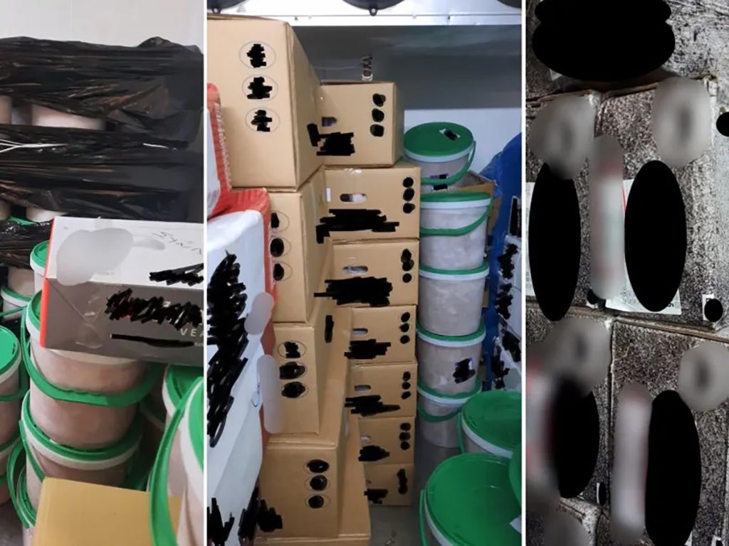 Νέα μεγάλη κατάσχεση 5,3 τόνων ακατάλληλου κρέατος - Στα νησιά έφτανε το δίκτυο   