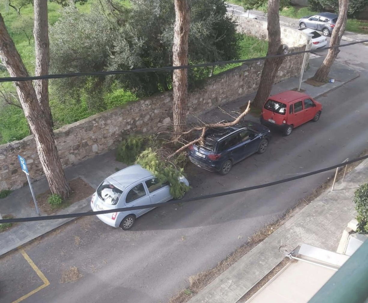 Τεράστιο κλαδί δέντρου έπεσε σε σταθμευμένα οχήματα 