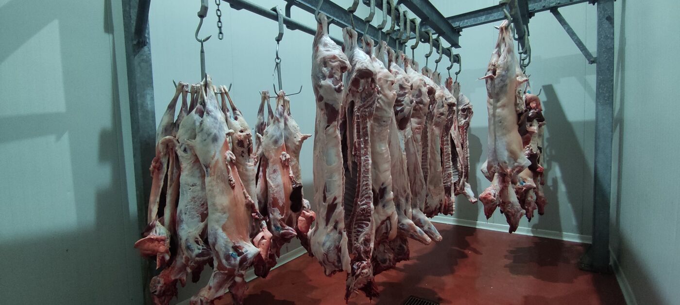 Μειωμένες φέτος οι σφαγές αμνοεριφίων στα Σφαγεία Κω (έφυγαν ζωντανά περίπου 6.000 από το νησί)