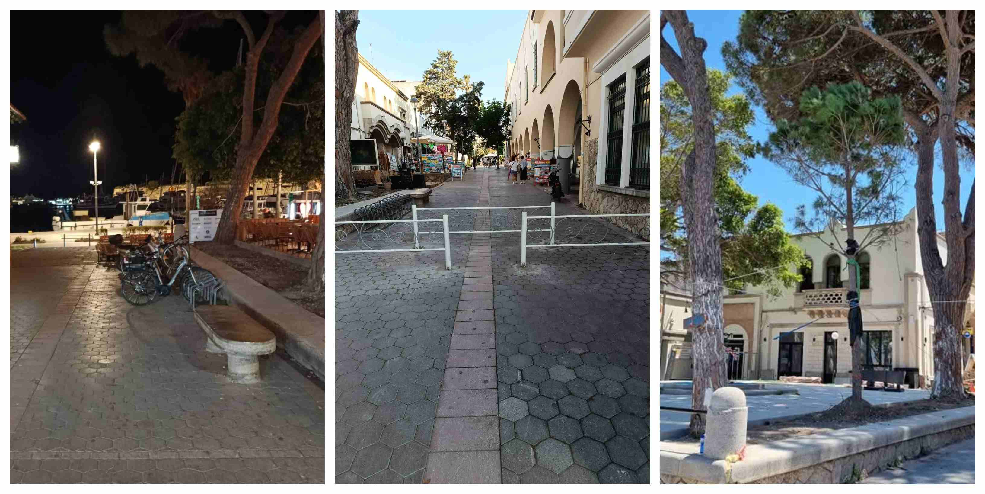Αναγνώστρια: Δύο πεύκα λιγότερα, η "αναβάθμιση" της πλατείας κάτω από το Δημαρχείο